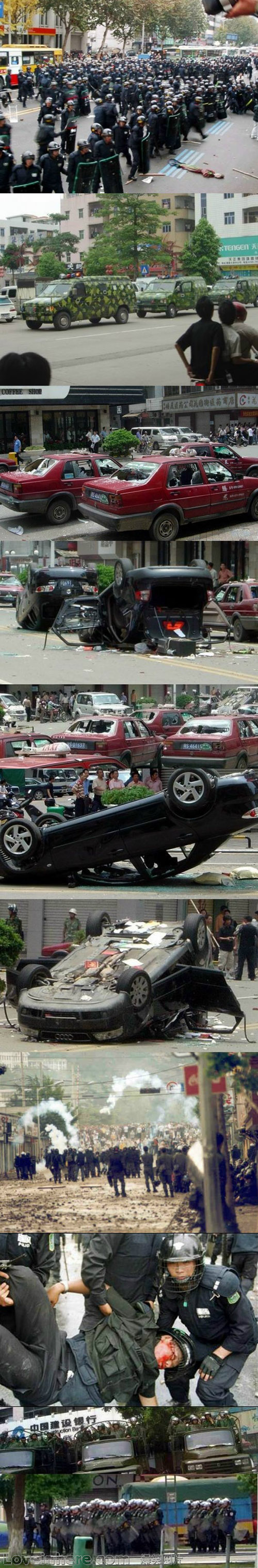 55.jpg