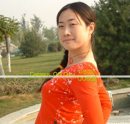 630454.jpg