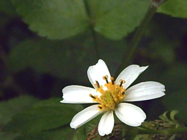 PICT0005.JPG
