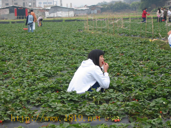 照片 172.jpg
