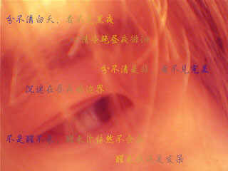 2005618114326653.jpg