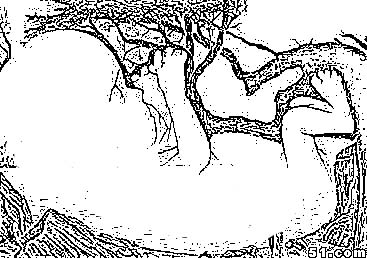 {A5F070F0-40F5-4AEC-8E3F-7A0D9F1F49EF}.JPG