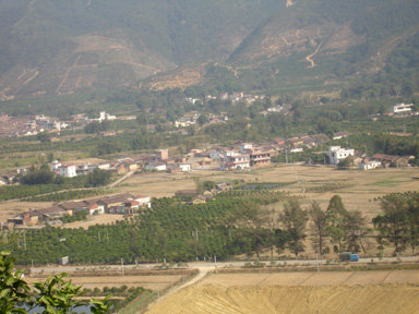 Dsc00409-1.jpg