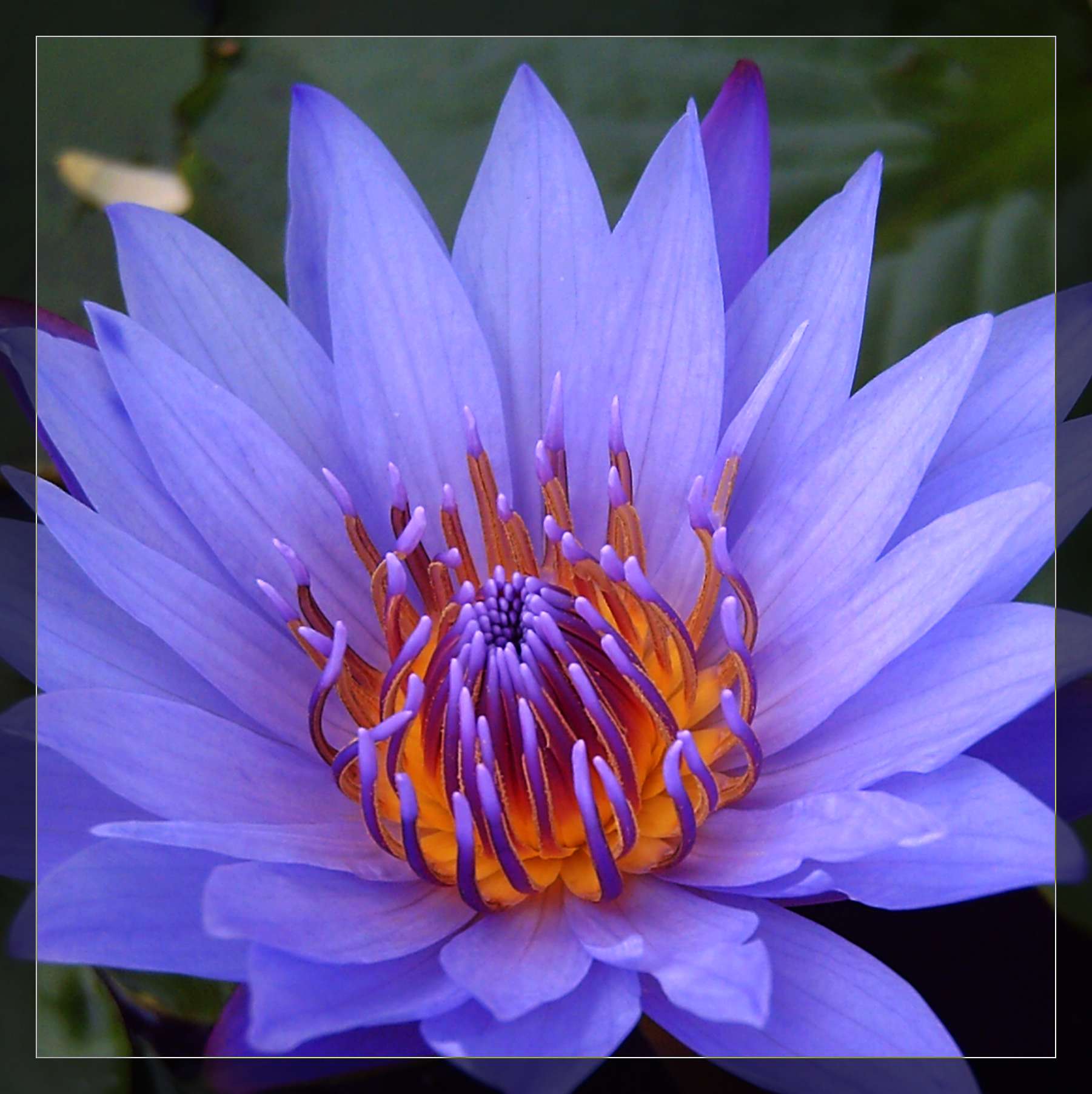 PICT0037.JPG