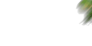 {313607CE-DA72-41F8-95B7-2050D9BDB783}0.gif