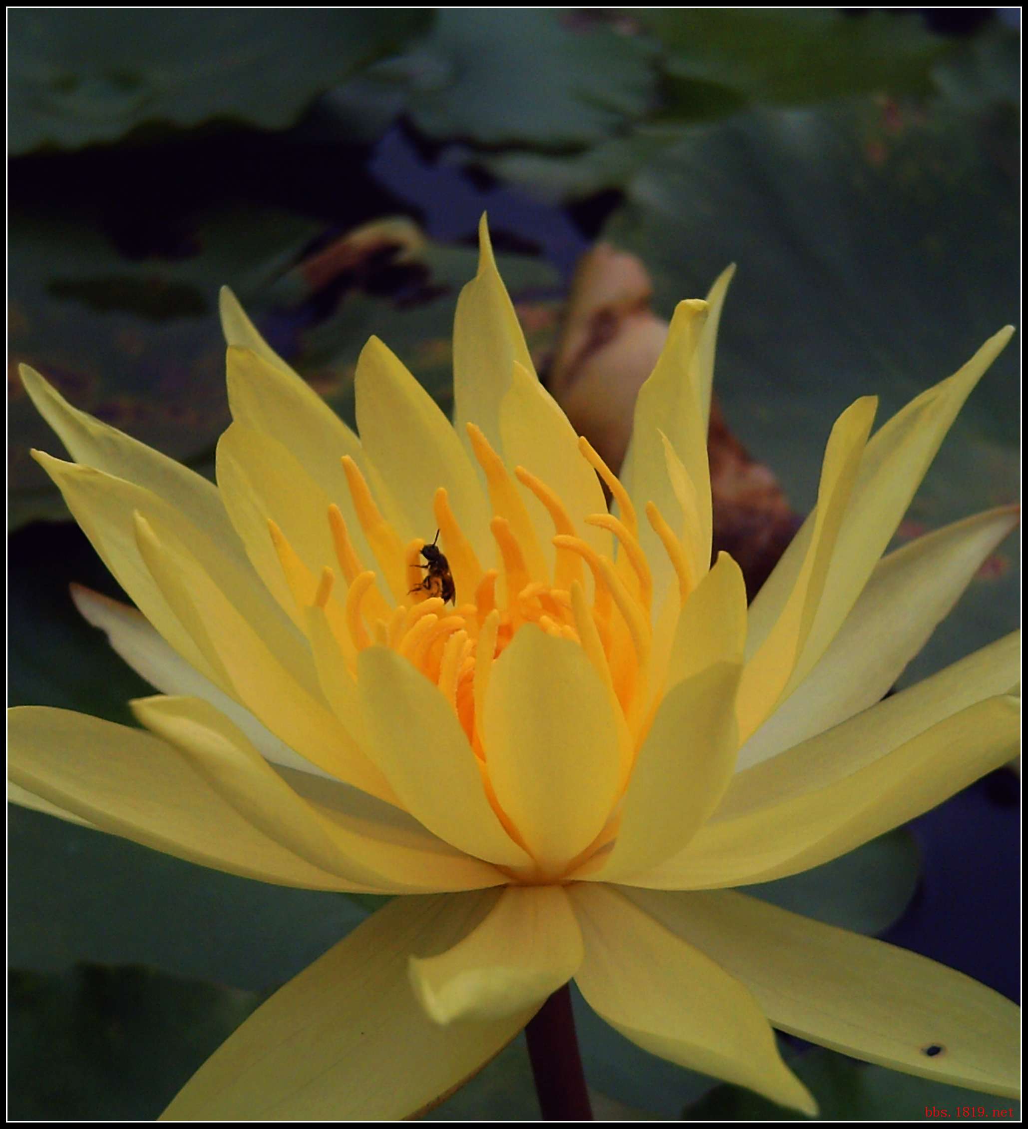 PICT0051.JPG